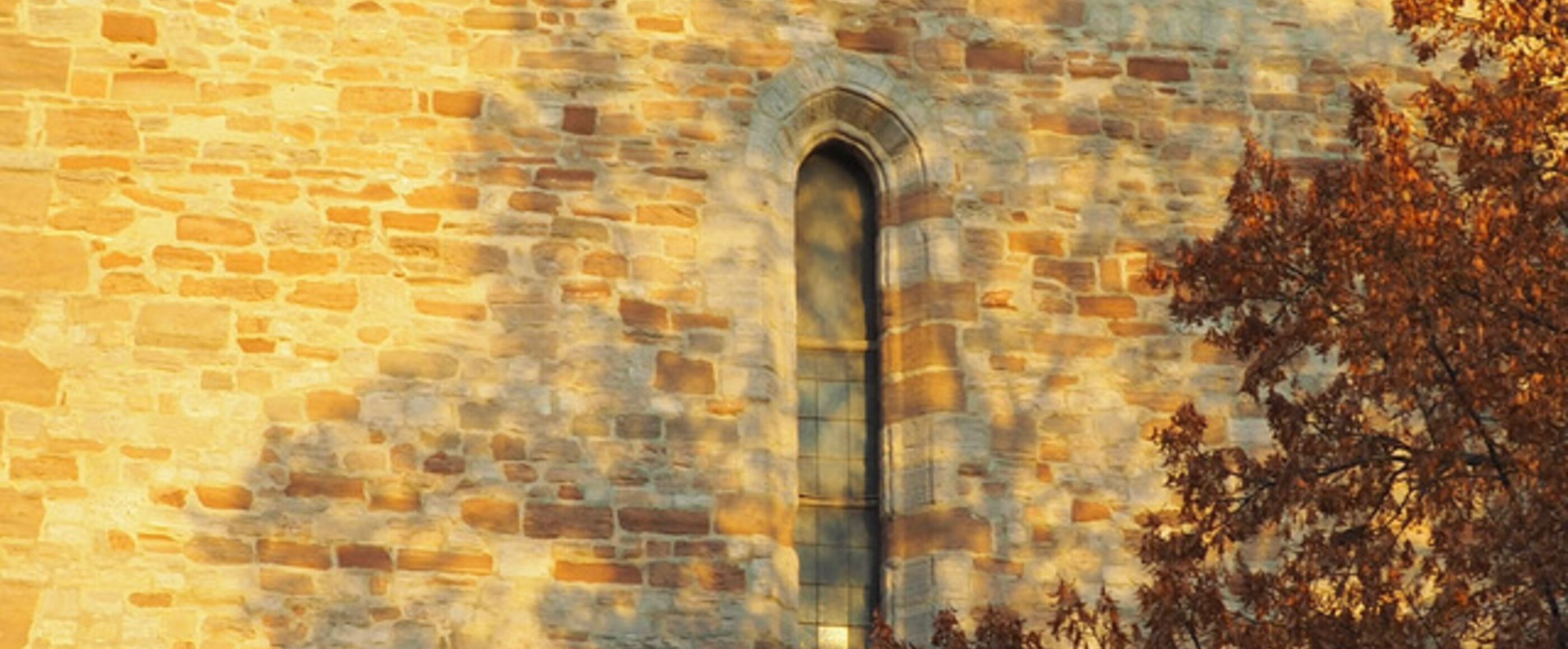 Eine Kirchenmauer mit einem kleinen Fenster. darüber liegt der Schatten eines Baumes, der vor der Kirche steht. Ein paar seiner Äste sind rechts im Bild noch zu sehen.