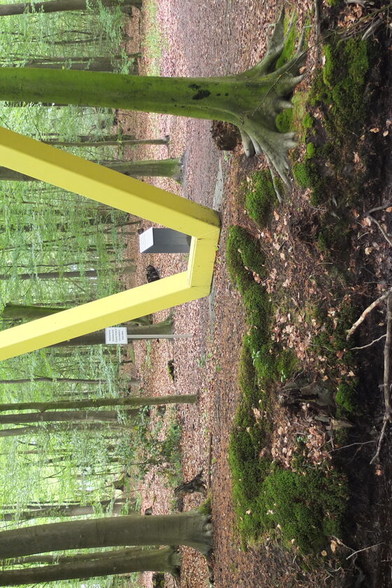 In einem lichten Wald steht neben einem kleinen Fluss oder einem Teich eine gelbe Metallform, die an ein eckiges "U" erinnert.