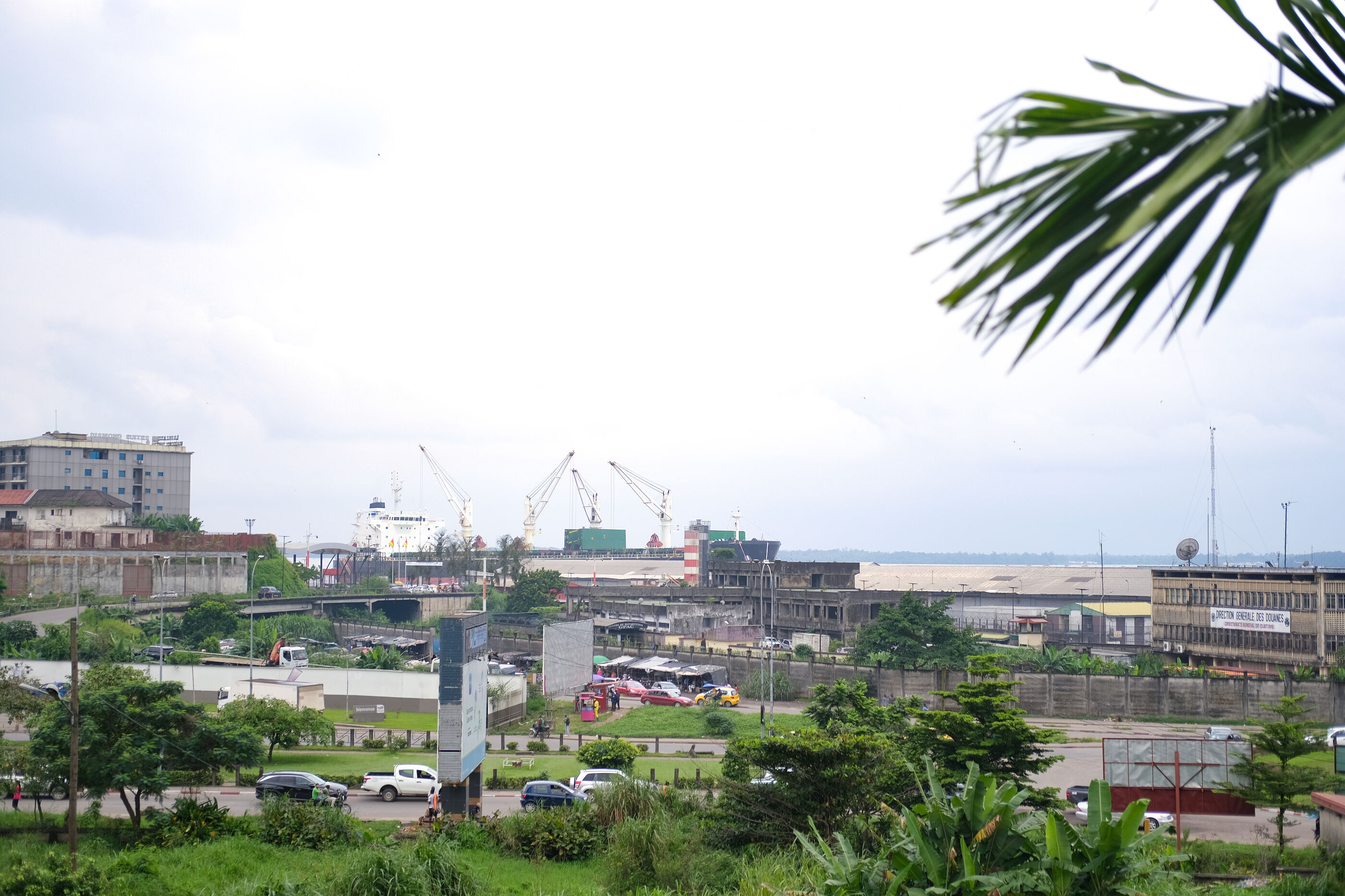 Zu sehen ist ein Hafengebiet mit Straßen, Grünstreifen, Kränen, Gebäuden. Rechts oeben ragt ein Palmzweig ins Bild.