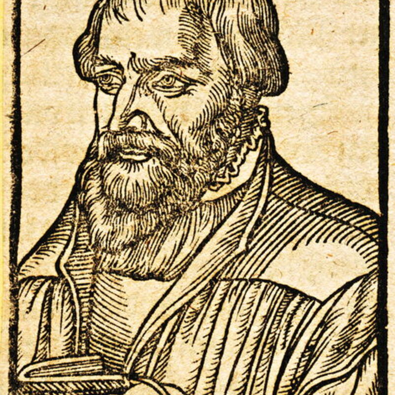 Das Bild zeigt einen Stich einer männlich lesbaren Person mit Bart und im Talar, in der Hand hält die Person ein Buch.