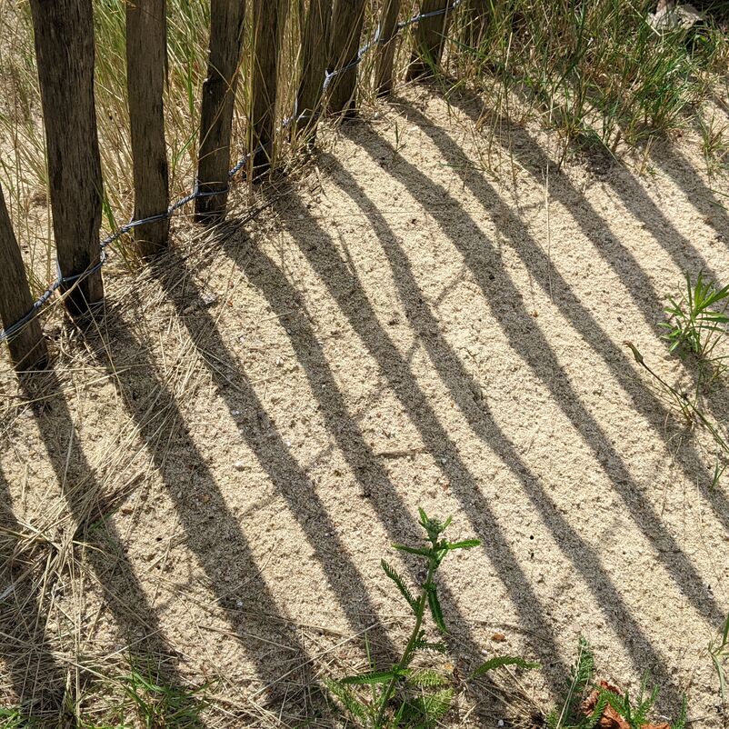 Im Sand an einem Holzzaun, dessen Schatten Streifen auf den Sand malt, sind einige kleine, runde Löcher zu erkennen - von Wildbienen.