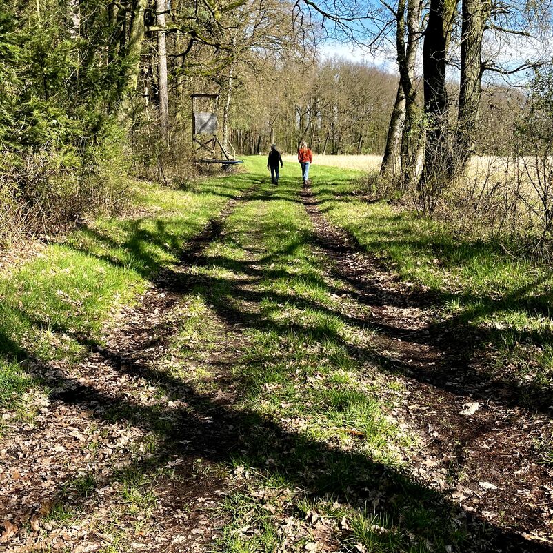 Zwei weit entfernte Personen gehen am Waldrand spazieren. 