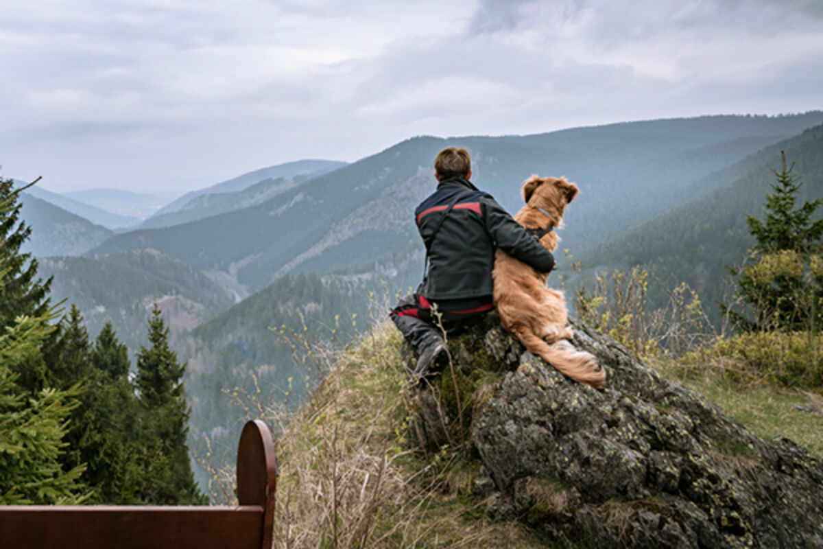 Hund und Mensch blicken über den Harz